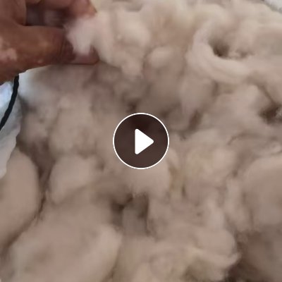 长期出售纯山羊绒的短绒，山羊绒，短绒，现货几百公斤