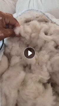 长期出售纯山羊绒的短绒，山羊绒，短绒，现货几百公斤