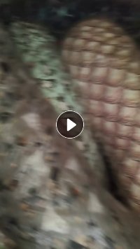 长期出售库存绒布,绒布,舒棉绒,法兰绒等,货在江苏南通