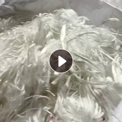 长期出售涤纶工业丝，涤纶废丝，现货20吨左右