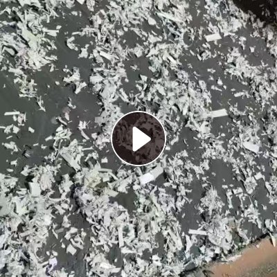 出售杂色PP打包带破碎料，全漂料