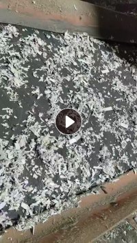 出售杂色PP打包带破碎料，全漂料