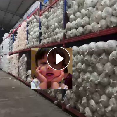 长期出售库存布，库存牛奶丝，白色，门幅150-160，克重140，货在广东揭阳