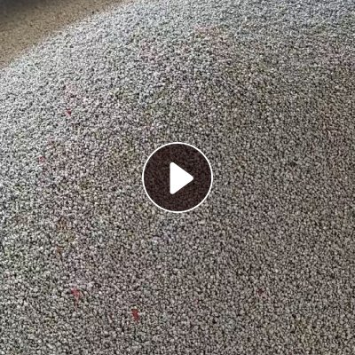 长期出售铝粉，95%以上，加气脱氧首选，月供150吨