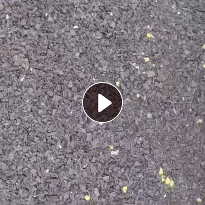 出售PP黑色水果筐破碎料，沉水料