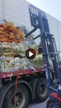 求购烫金膜压包料