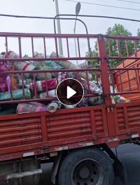 出售PET花膜，可打绳，现货10吨左右