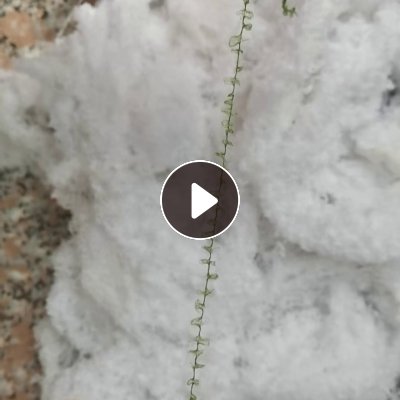 长期求购白色氨纶干丝，氨纶包覆丝，氨纶丝，厂在河北保定雄安新区