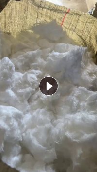 长期出售剪毛机下来的涤纶磨毛料,涤纶毛毛料