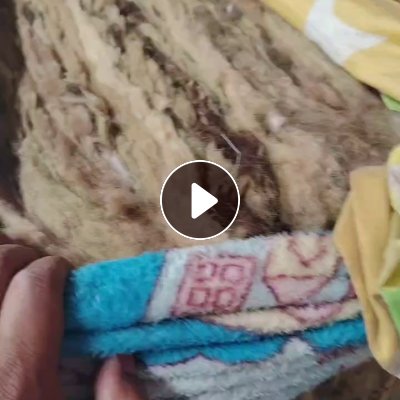 长期出售杂色丝棉，丝棉开松棉，现货有5吨左右，货在河南郑州