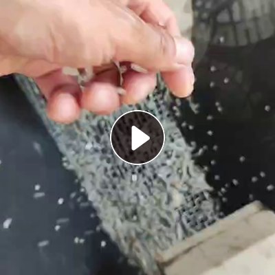 出售一级高压膜颗粒，过100目，吹膜好用