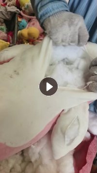 长期出售毛绒玩具拆下拉的外壳，废布，毛绒废布，玩具下脚料，扣子都在