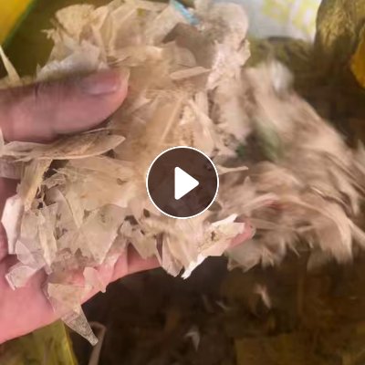 出售餐盒破碎料，干粉的，有奶茶杯，占比不高，现货几吨