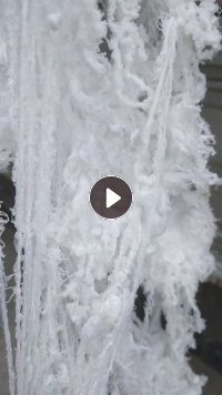 长期出售涤纶加弹丝，涤纶干丝，涤纶废丝，涤纶开花丝，只能开花用，现货20吨左右