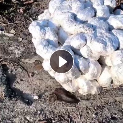 长期出售热熔块