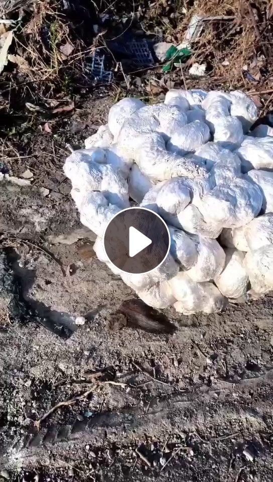 长期出售热熔块