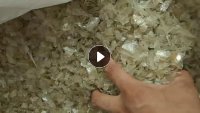 出售PC阳光板破碎料,现货20-30吨
