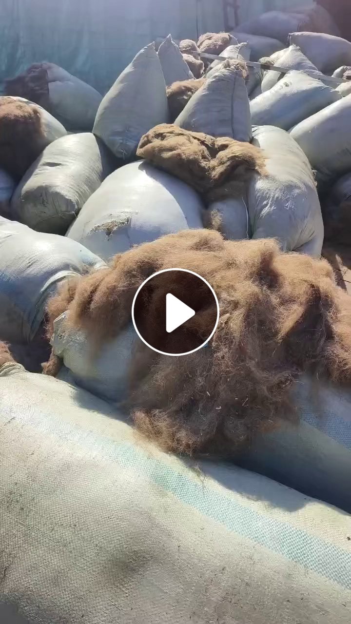 长期出售骆驼毛，梳绒机下来的骆驼毛渣，现货有几十吨，货在河北邢台