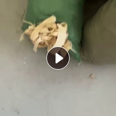 长期出售桃皮绒下脚料，桃皮绒边角料