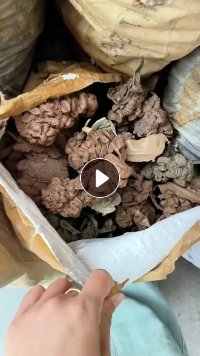 出售eva机头料，轻发泡，现货10吨