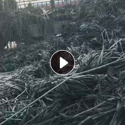 出售滴灌带毛料，贴片料，月供300吨