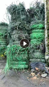 出售PET打包带毛料，现货二十多吨