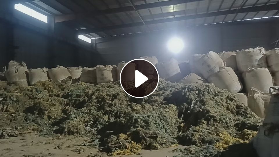 常年大量出售水洗编织袋破碎料