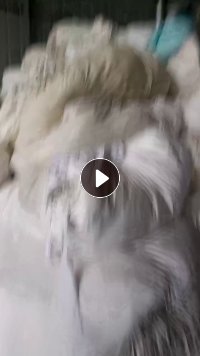 出售旧衣服大白，白料，开花料，现货有6.8米一车，货在河南驻马店