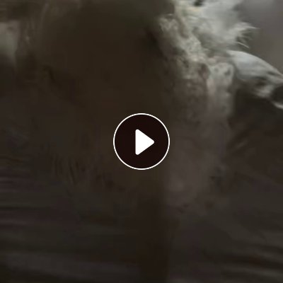 长期出售单6的锦纶废丝，尼龙废丝，纯尼龙的，现货40吨左右