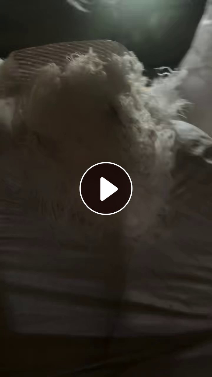 长期出售单6的锦纶废丝，尼龙废丝，纯尼龙的，现货40吨左右