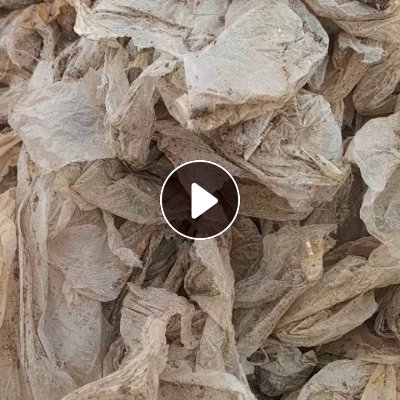 出售PP平菇膜废料，干造的，现货一挂多