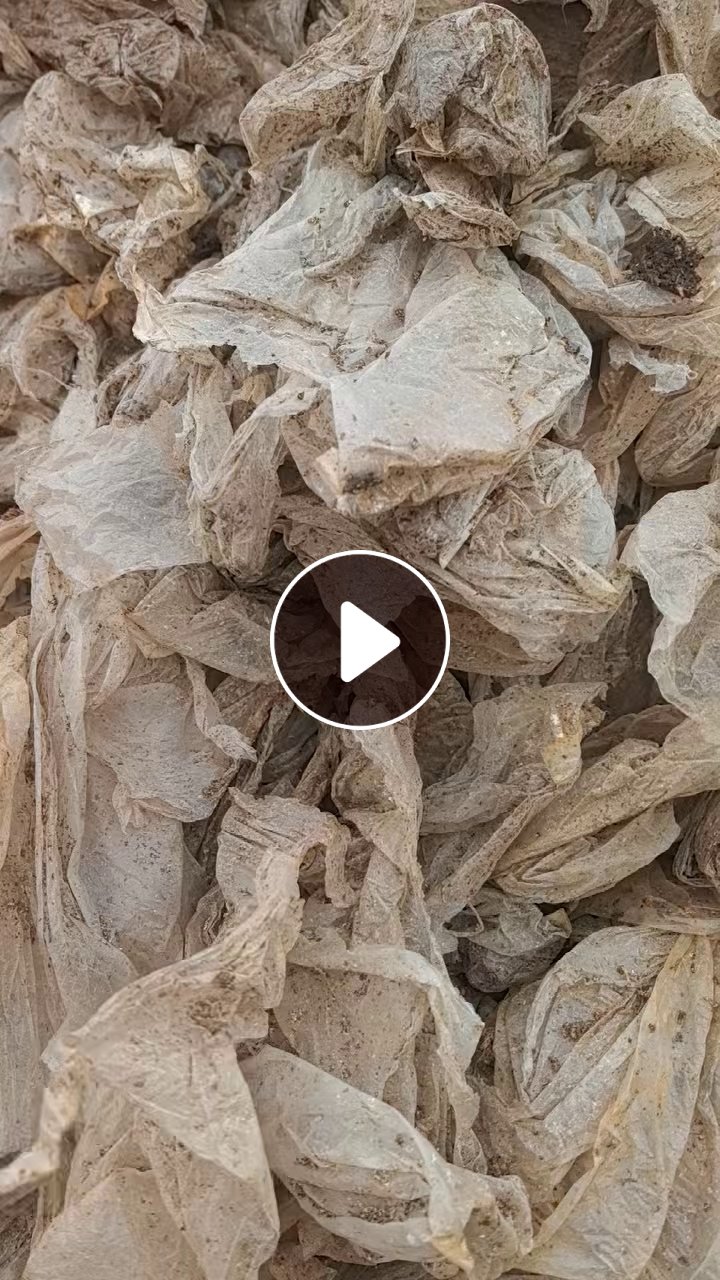 出售PP平菇膜废料，干造的，现货一挂多