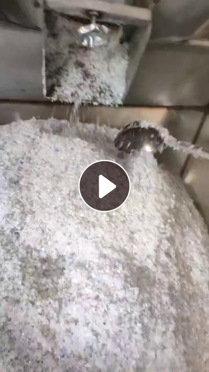 出售PET蓝白片，热洗的，可以用来吹瓶的，现货30多吨
