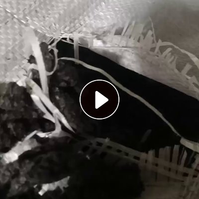 长期出售氨纶黑色颗粒，便宜卖，现货100吨左右，货在河北石家庄