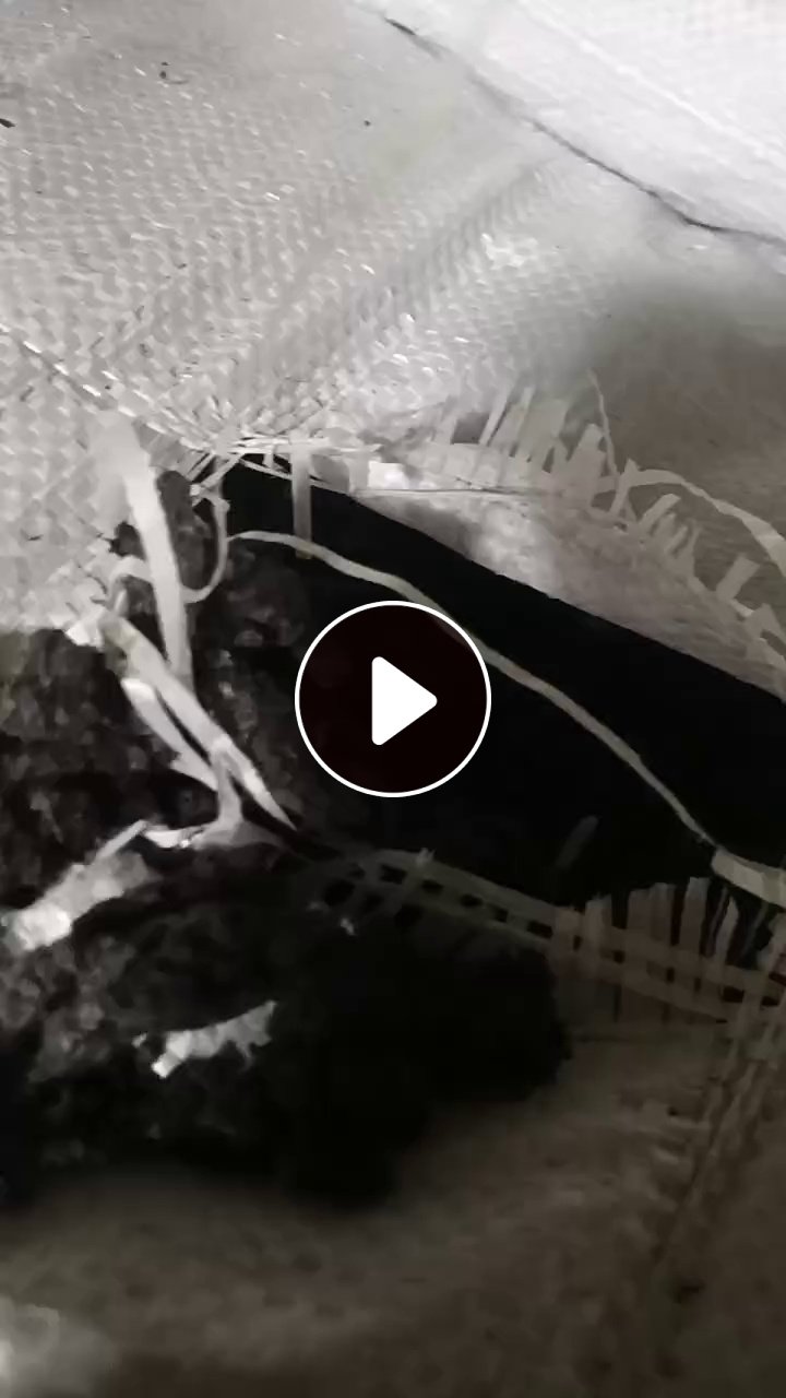 长期出售氨纶黑色颗粒，便宜卖，现货100吨左右，货在河北石家庄