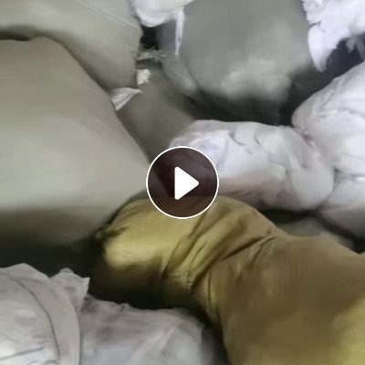长期出售寿衣厂下来的废布，白色的纯棉的、化纤的、涤棉的都有，可开花用，月供30吨