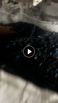 出售PE蓝线管破碎料，全漂，沉底都有，长期有货