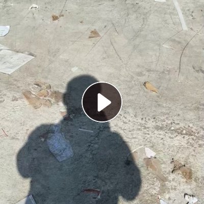 出售白卡纸、无膜药盒纸