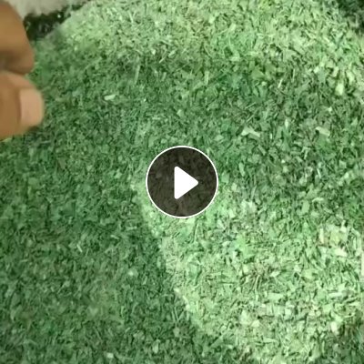 出售干粉PET打包带破碎料，绿色黑色都有