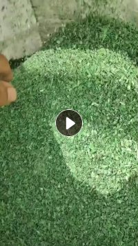 出售干粉PET打包带破碎料，绿色黑色都有