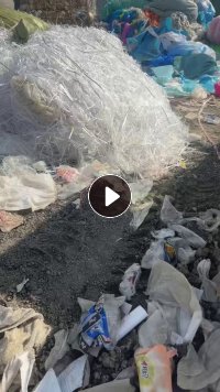 出售PP打包带毛料,杂色透明的都有,长期有货