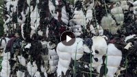 长期出售废纺料,废布料,黑料,下脚料,燃烧料,都是废布,一天有30吨,货在浙江嘉兴