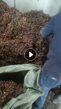 常年出售铜刨花