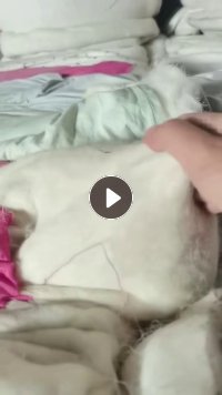 长期出售纯羊毛被子，羊毛被，现货5吨，长毛短毛都有