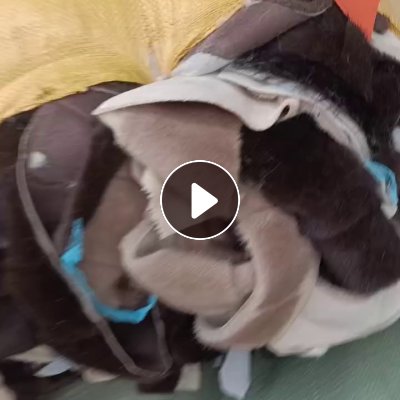 出售欧貂毛毛料，造粒料，拉丝料，月供3-4车货，货在河南郑州