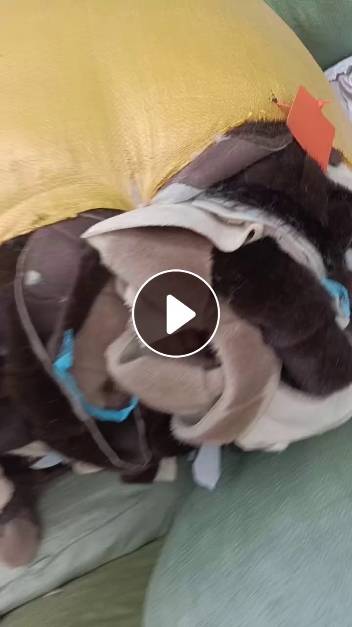 出售欧貂毛毛料，造粒料，拉丝料，月供3-4车货，货在河南郑州