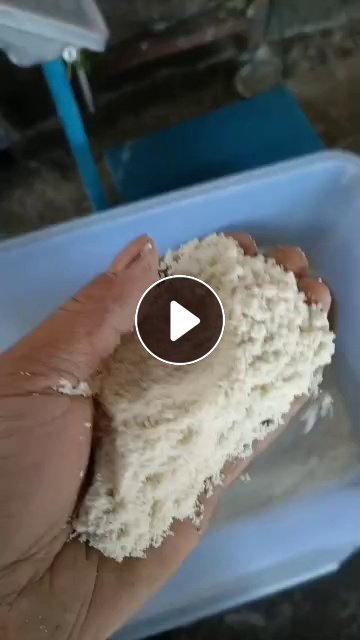 出售纯白色的乳胶粉