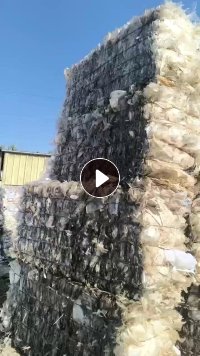 长期出售餐盒压块，目前现货5吨