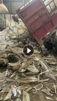 回收PC毛料，白透、花料、水桶毛料等，月需100吨