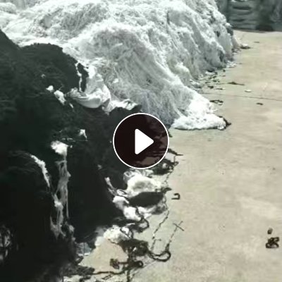 长期出售涤纶废丝，造泡料用，月供7-8车